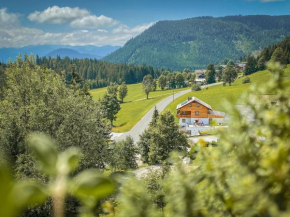 Ferienhaus Dachsteinheim